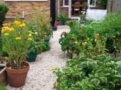 Becoming 21st-Century Smallholder