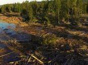 Canada Expect More Mining Disasters