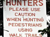 Grammar Error..or Not?