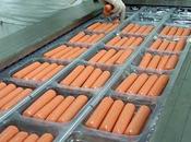 Five Food Packaging Mistakes Avoid