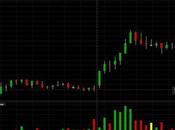 Whole Foods Options Active Shares Spike