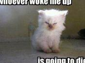 Hujonwi. Sends Great Stuff.