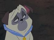 Christian Churches Downsize Their Congregation